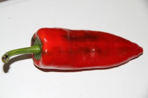 16 PIMIENTO DE LA BARRANCA