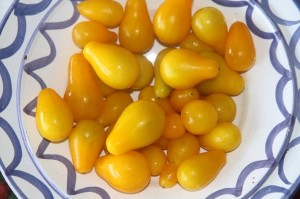 tomate amarillo de pera mini de Bizkaia