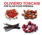 Oliviero Toscani