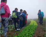 Visitas escolares a explotaciones agrarias