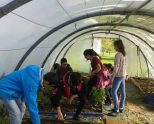 Taller de cocina y huerto escolar en el colegio de La Inmaculada