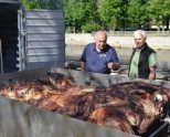 Zuazo celebra una multitudinaria Feria del Perretxiko y de la Vaca Terreña y reivindica una mayor apuesta por el medio rural