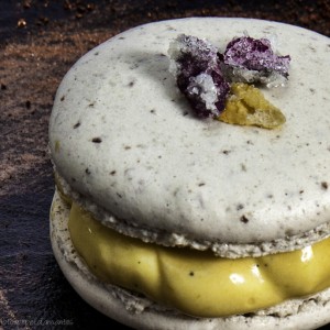 Macaron de cacau del collaret con helado de calabaza ecológica