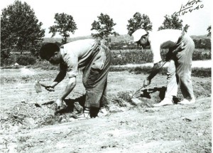 Del álbum de los recuerdos. Foto del 11/04/1960