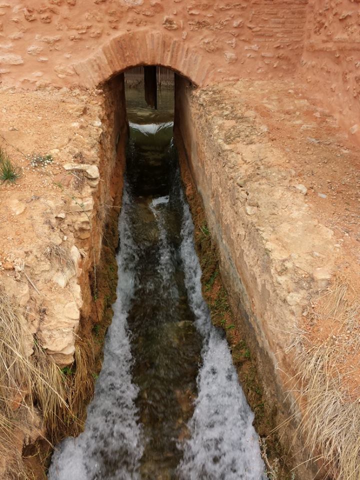 Agua del Moli